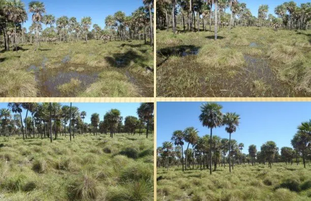 Fazenda à venda de 13.000 ha em Villa Hayes, Paraguai