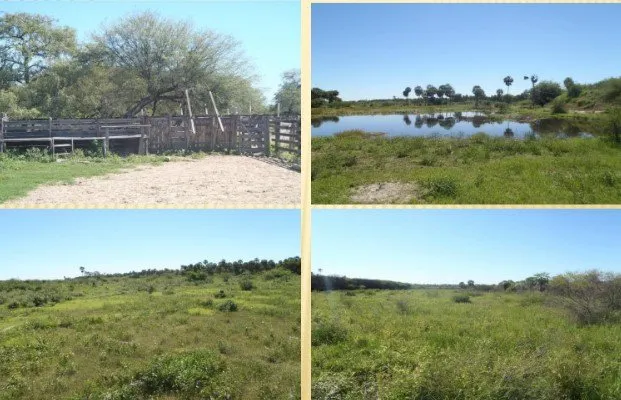 Fazenda à venda de 13.000 ha em Villa Hayes, Paraguai