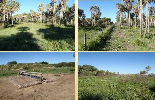 Fazenda à venda de 13.000 ha em Villa Hayes, Paraguai