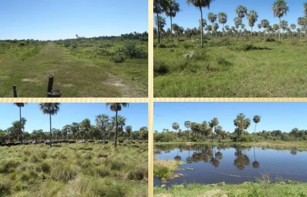 Fazenda à venda de 13.000 ha em Villa Hayes, Paraguai