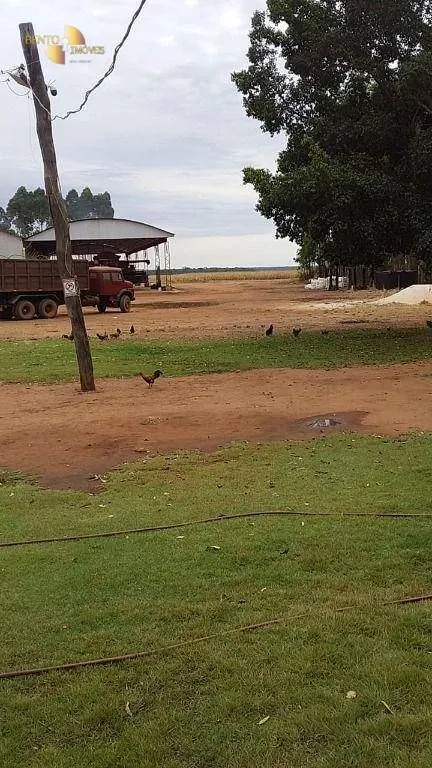 Farm for sale of 7,957 acres in Paranatinga, MT, Brazil