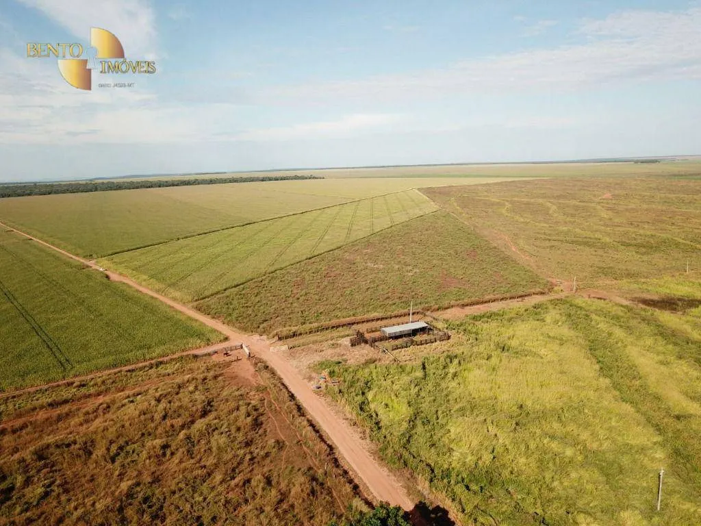 Farm for sale of 7,957 acres in Paranatinga, MT, Brazil