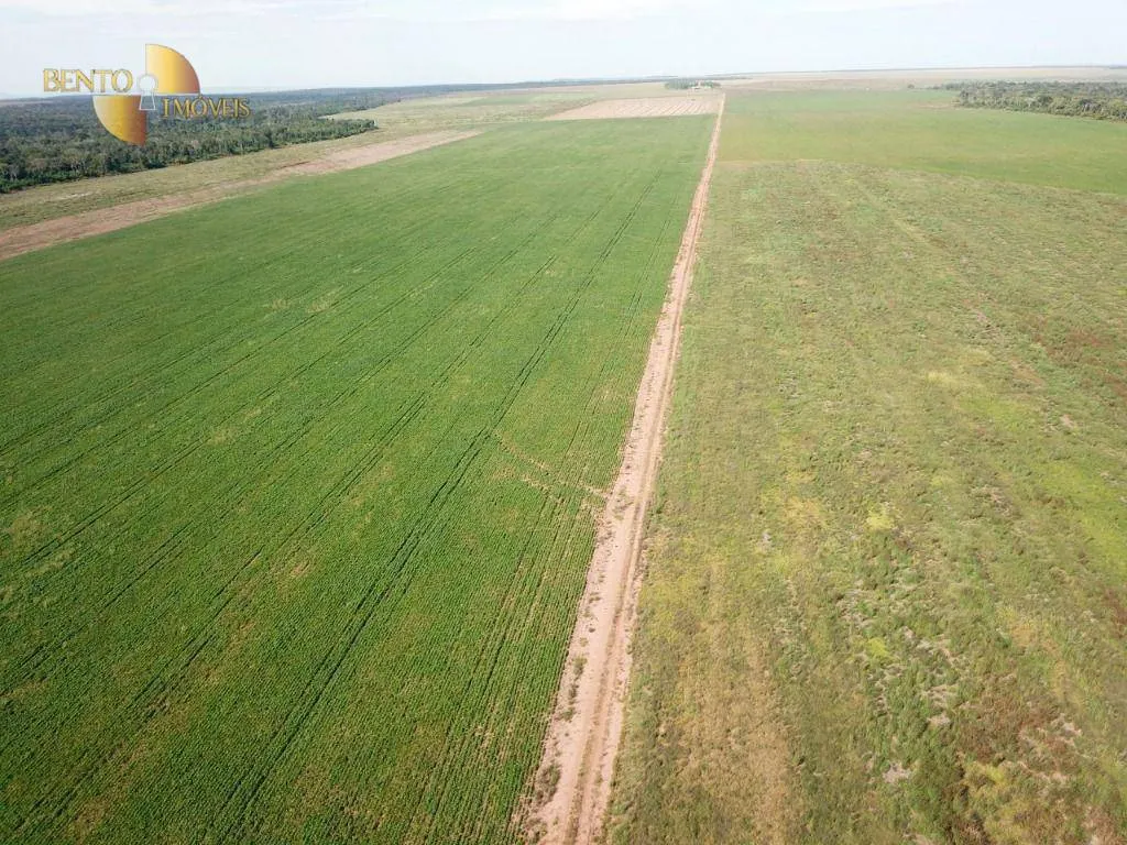 Farm for sale of 7,957 acres in Paranatinga, MT, Brazil