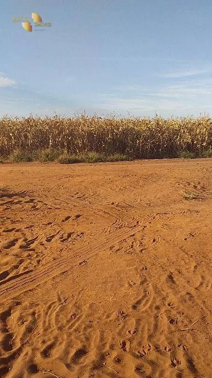 Farm for sale of 7,957 acres in Paranatinga, MT, Brazil