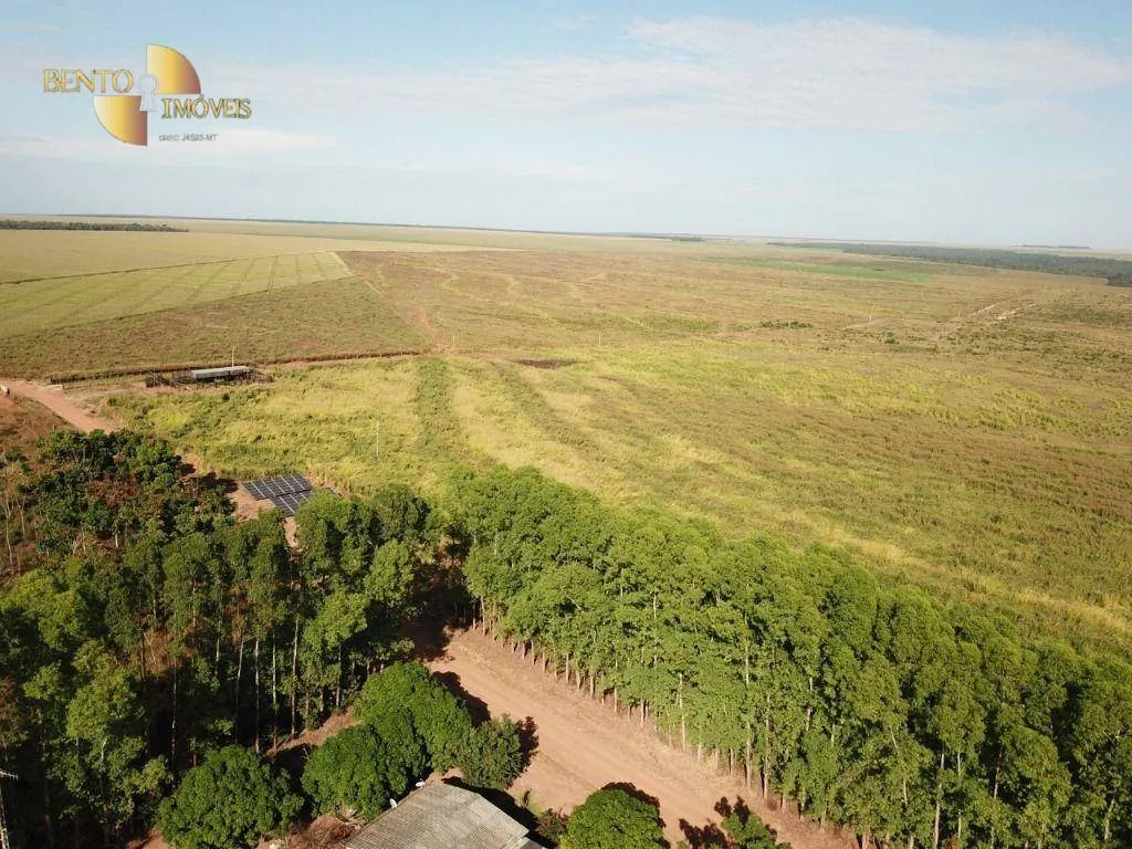Farm for sale of 7,957 acres in Paranatinga, MT, Brazil