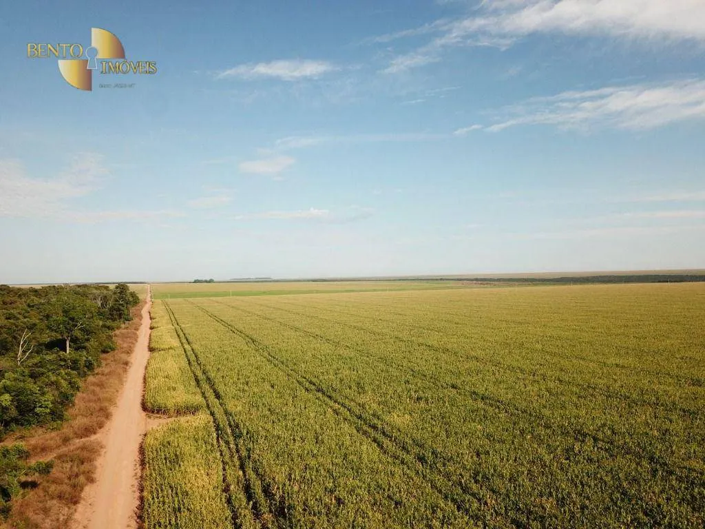 Farm for sale of 7,957 acres in Paranatinga, MT, Brazil