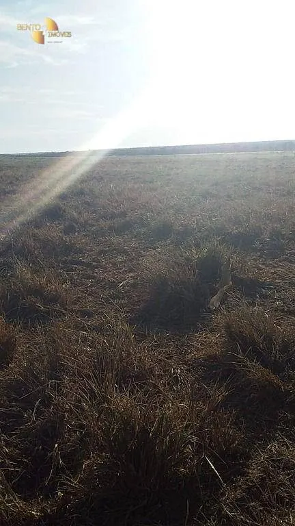 Farm for sale of 7,957 acres in Paranatinga, MT, Brazil