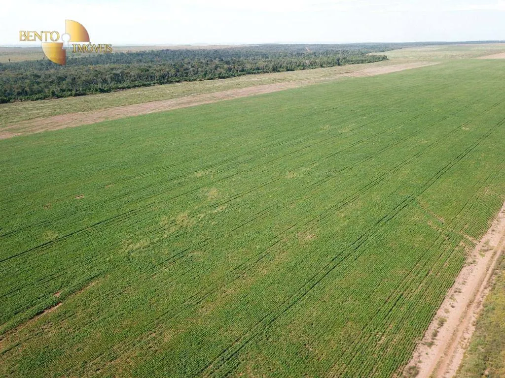 Fazenda à venda de 3.220 ha em Paranatinga, MT, Brasil