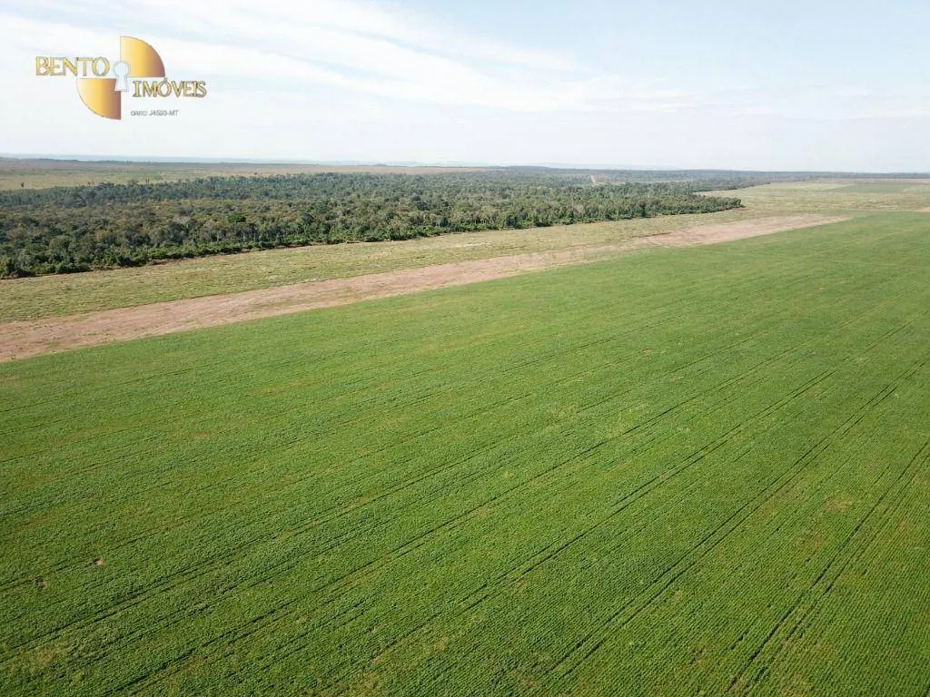 Farm for sale of 7,957 acres in Paranatinga, MT, Brazil