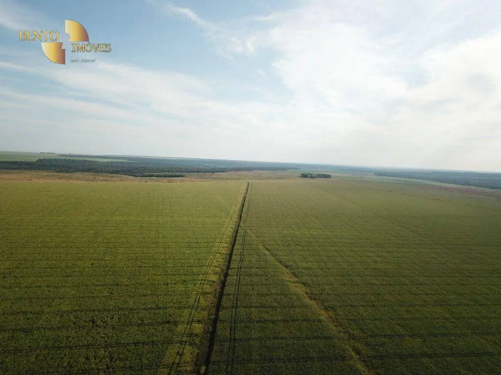 Farm for sale of 7,957 acres in Paranatinga, MT, Brazil