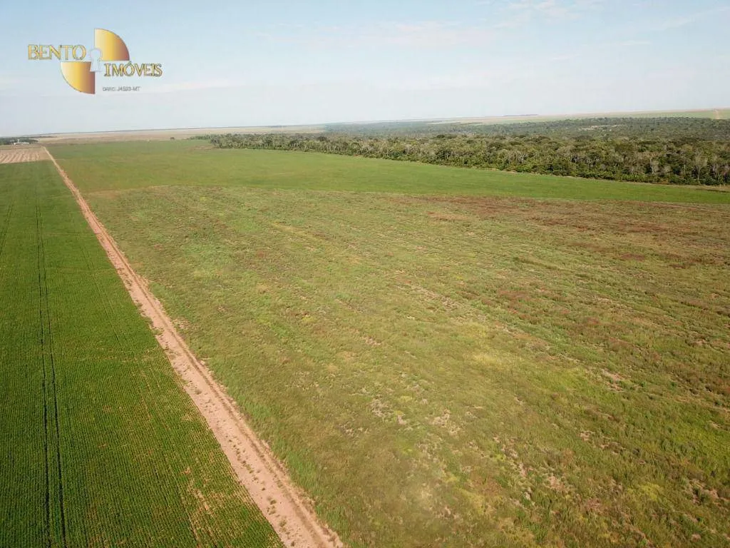 Farm for sale of 7,957 acres in Paranatinga, MT, Brazil