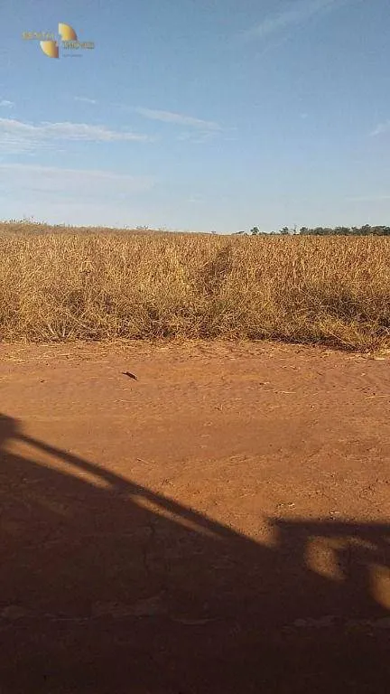 Farm for sale of 7,957 acres in Paranatinga, MT, Brazil