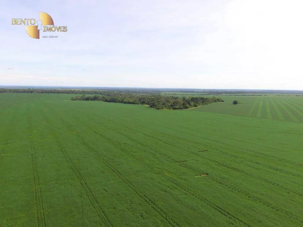 Fazenda à venda de 3.500 ha em Itaúba, MT, Brasil
