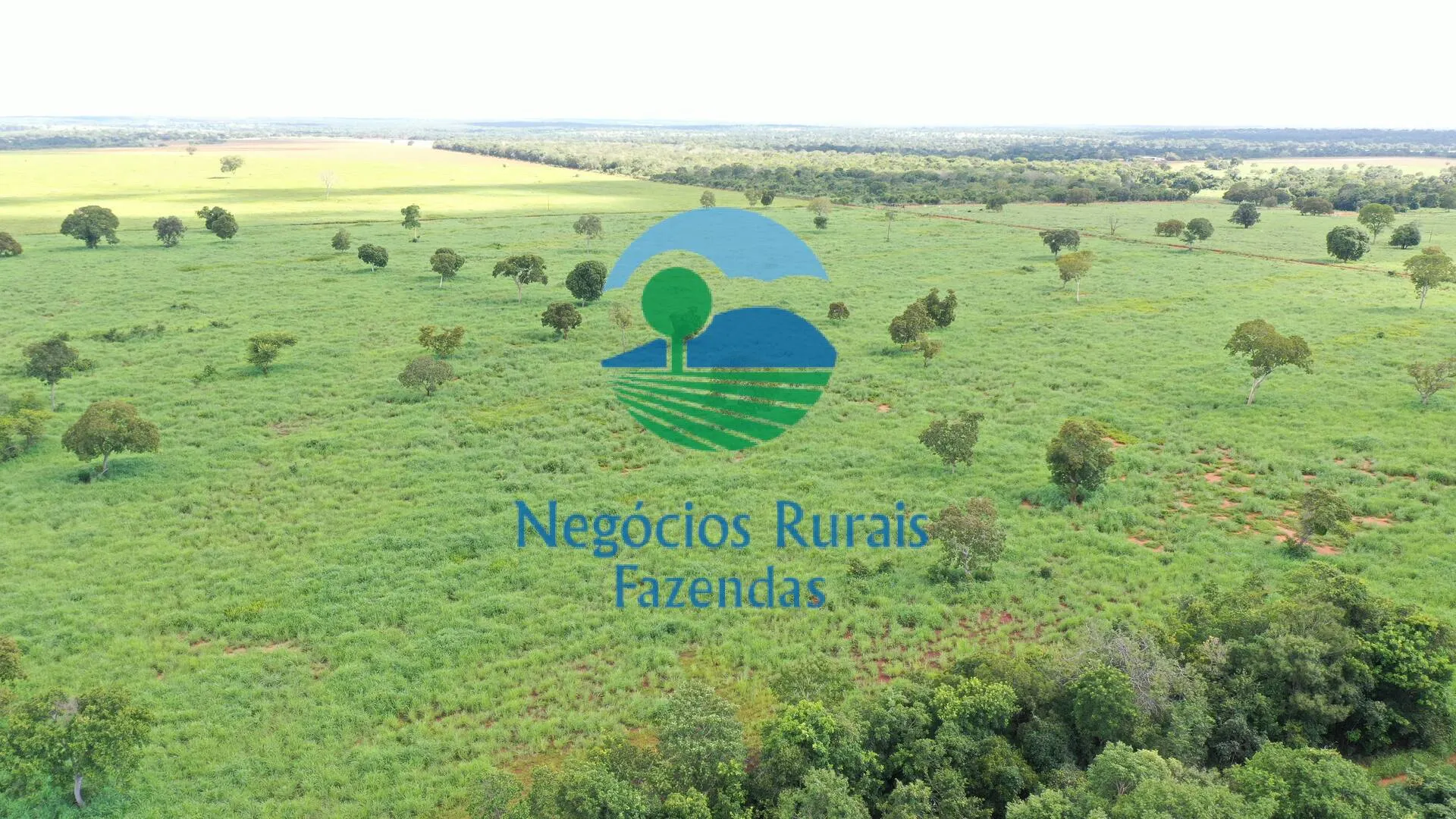 Fazenda à venda de 464 ha em Novo Planalto, GO, Brasil