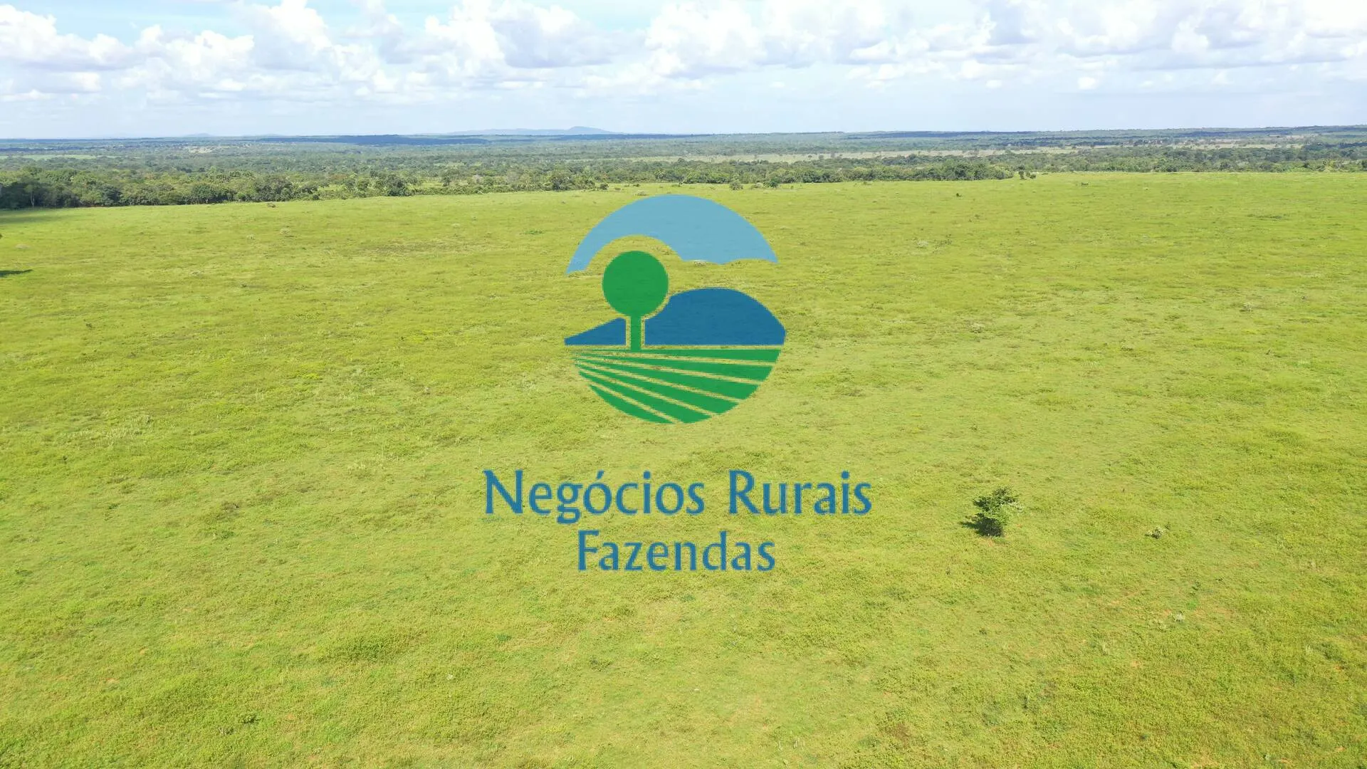 Fazenda à venda de 464 ha em Novo Planalto, GO, Brasil