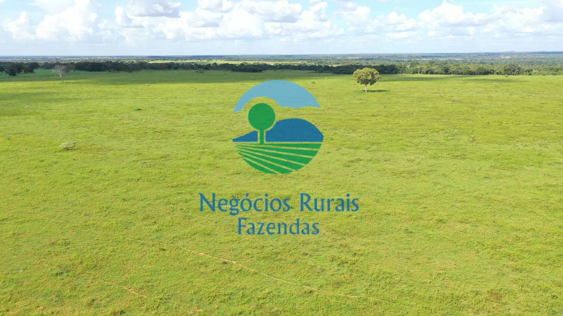 Fazenda à venda de 464 ha em Novo Planalto, GO, Brasil