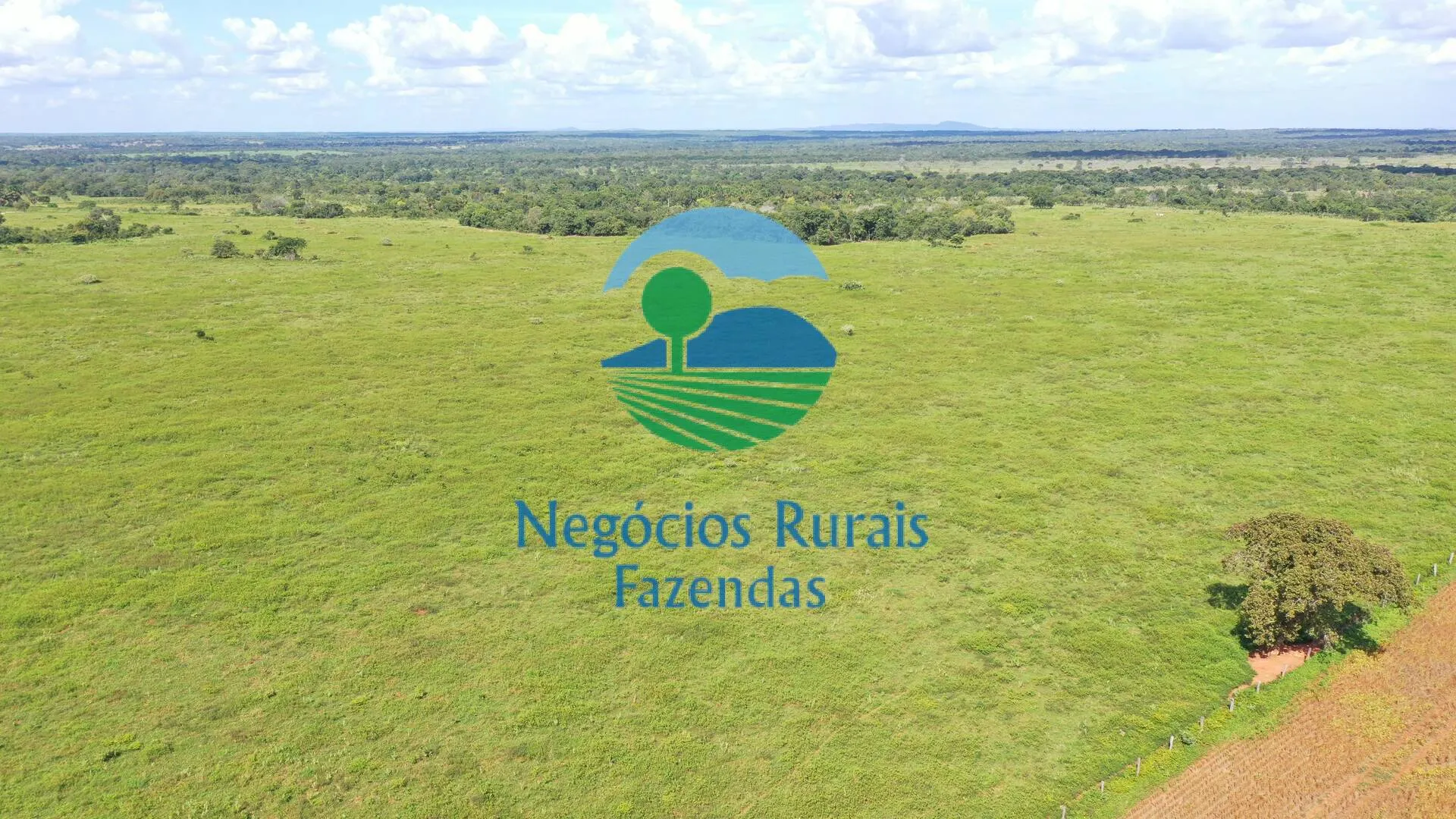 Fazenda à venda de 464 ha em Novo Planalto, GO, Brasil