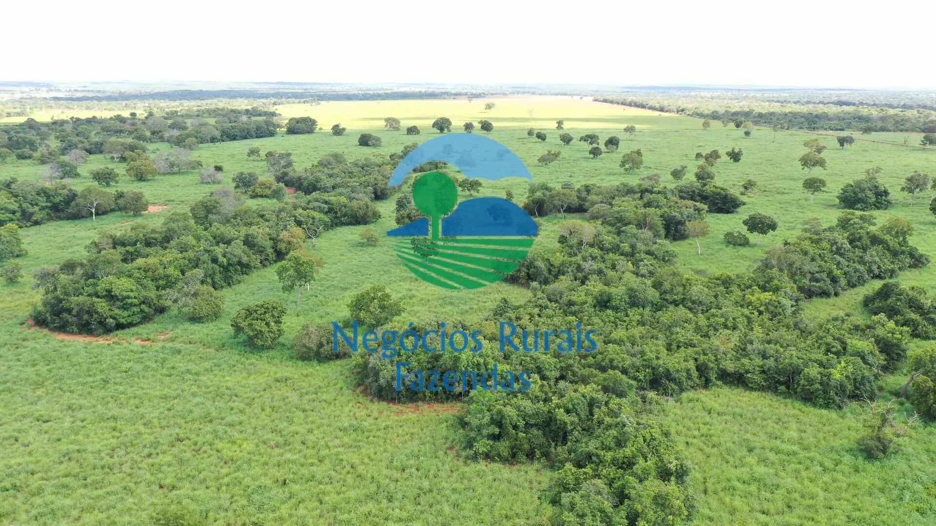 Fazenda à venda de 464 ha em Novo Planalto, GO, Brasil