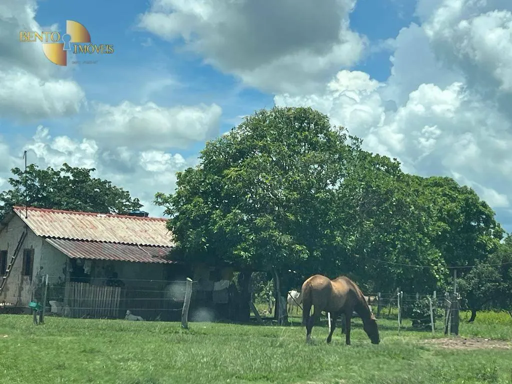 Fazenda à venda de 100 ha em Nobres, MT, Brasil