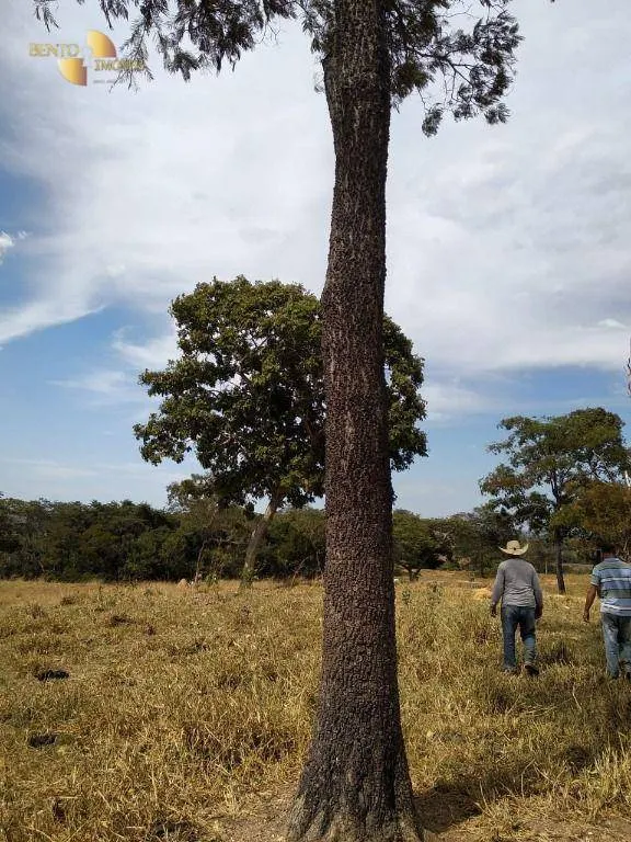 Fazenda à venda de 411 ha em Nobres, MT, Brasil