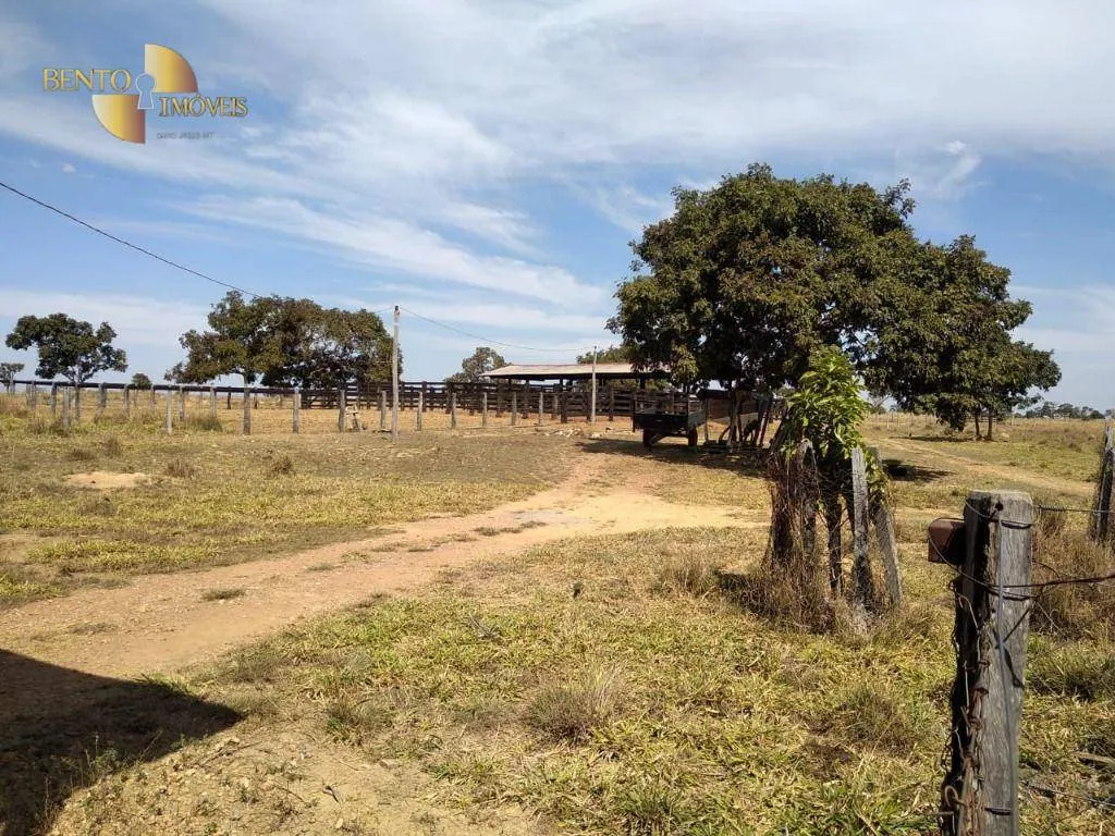 Fazenda à venda de 411 ha em Nobres, MT, Brasil
