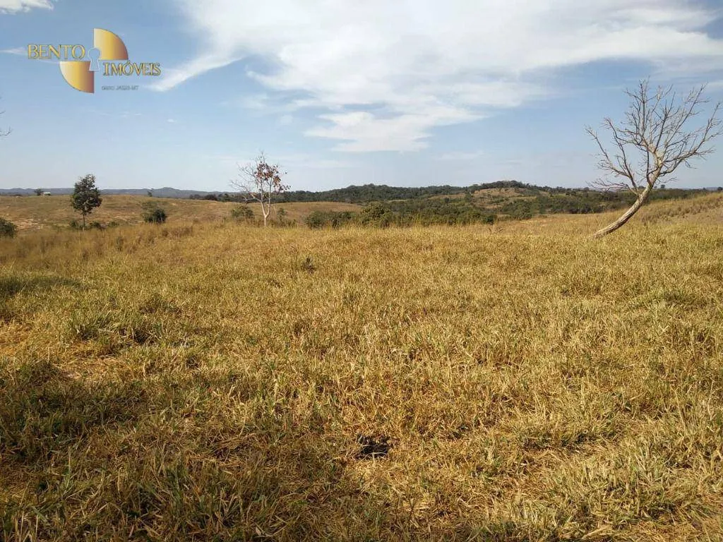 Fazenda à venda de 411 ha em Nobres, MT, Brasil