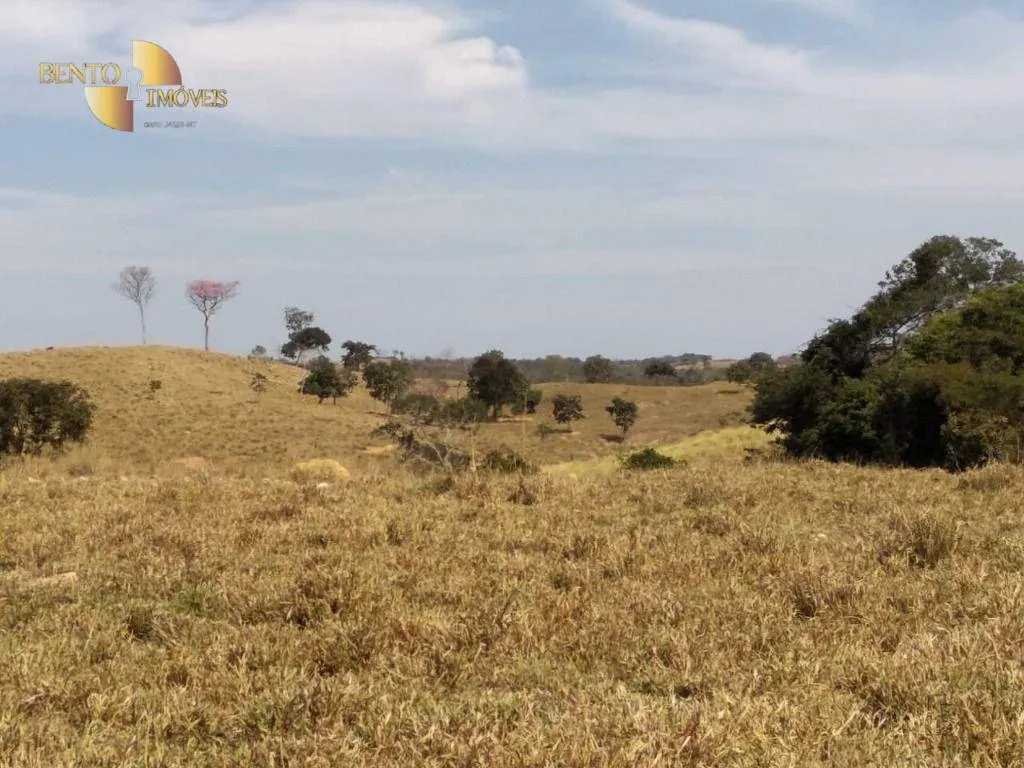 Fazenda à venda de 411 ha em Nobres, MT, Brasil