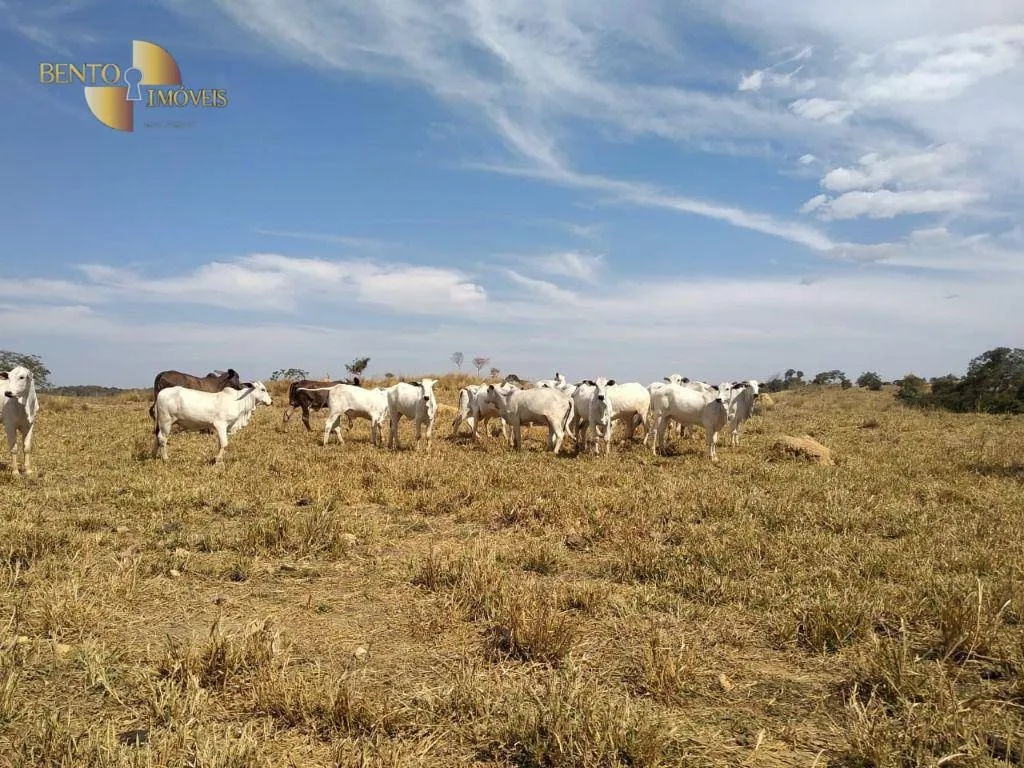 Fazenda à venda de 411 ha em Nobres, MT, Brasil