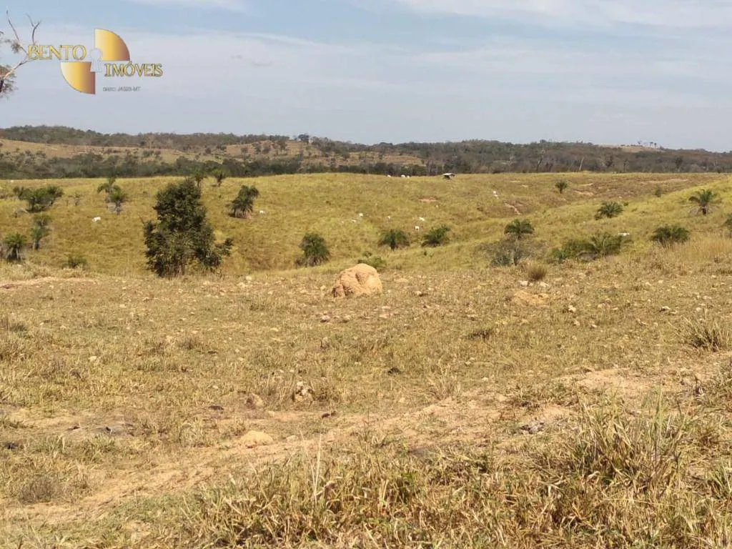 Fazenda à venda de 411 ha em Nobres, MT, Brasil