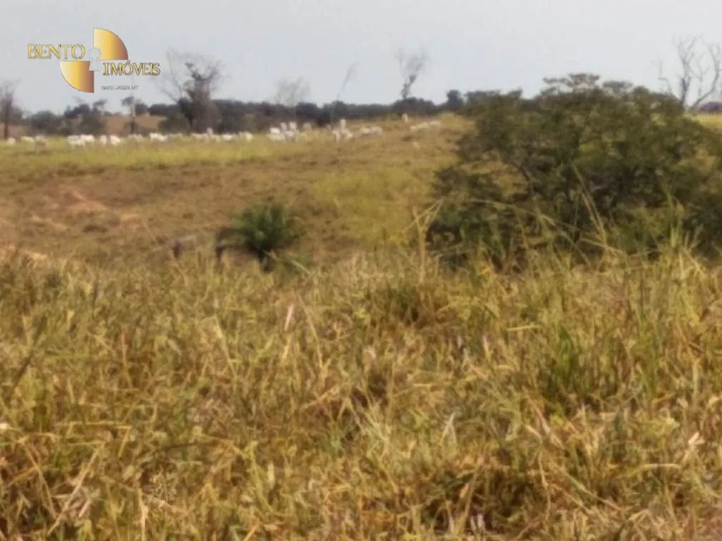 Fazenda à venda de 411 ha em Nobres, MT, Brasil