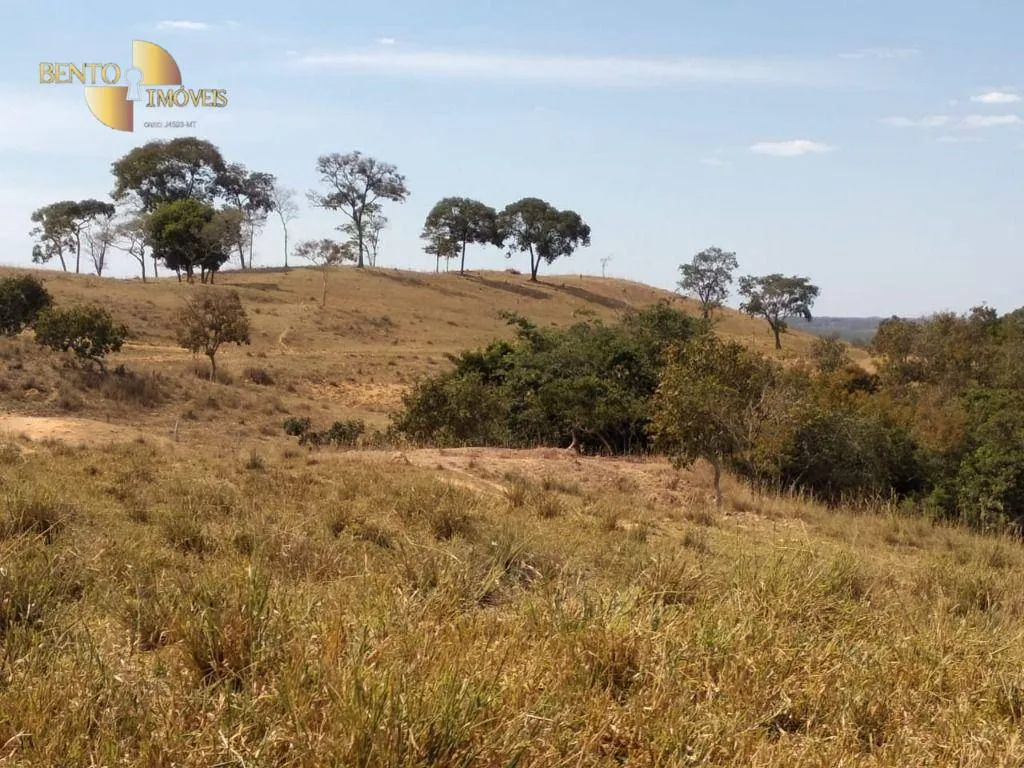 Fazenda à venda de 411 ha em Nobres, MT, Brasil