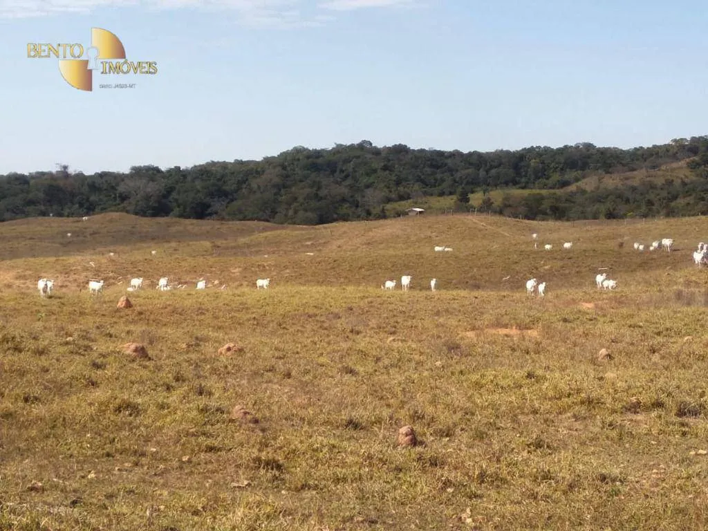 Fazenda à venda de 411 ha em Nobres, MT, Brasil