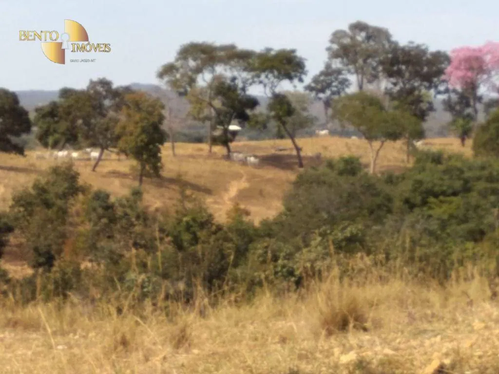 Fazenda à venda de 411 ha em Nobres, MT, Brasil