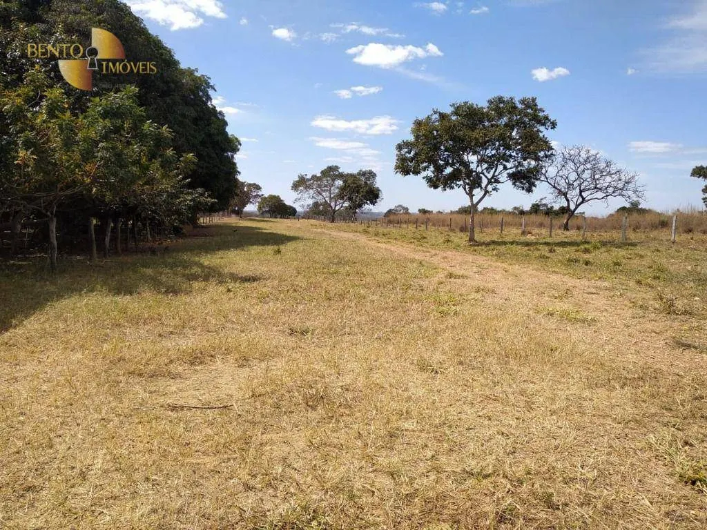 Fazenda à venda de 411 ha em Nobres, MT, Brasil