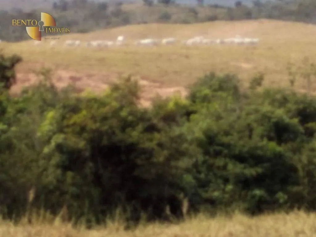 Fazenda à venda de 411 ha em Nobres, MT, Brasil
