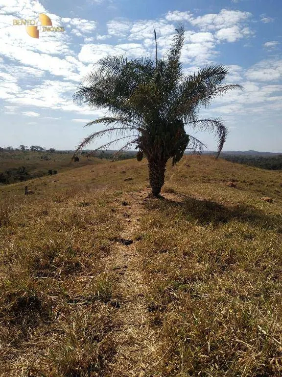 Fazenda à venda de 411 ha em Nobres, MT, Brasil