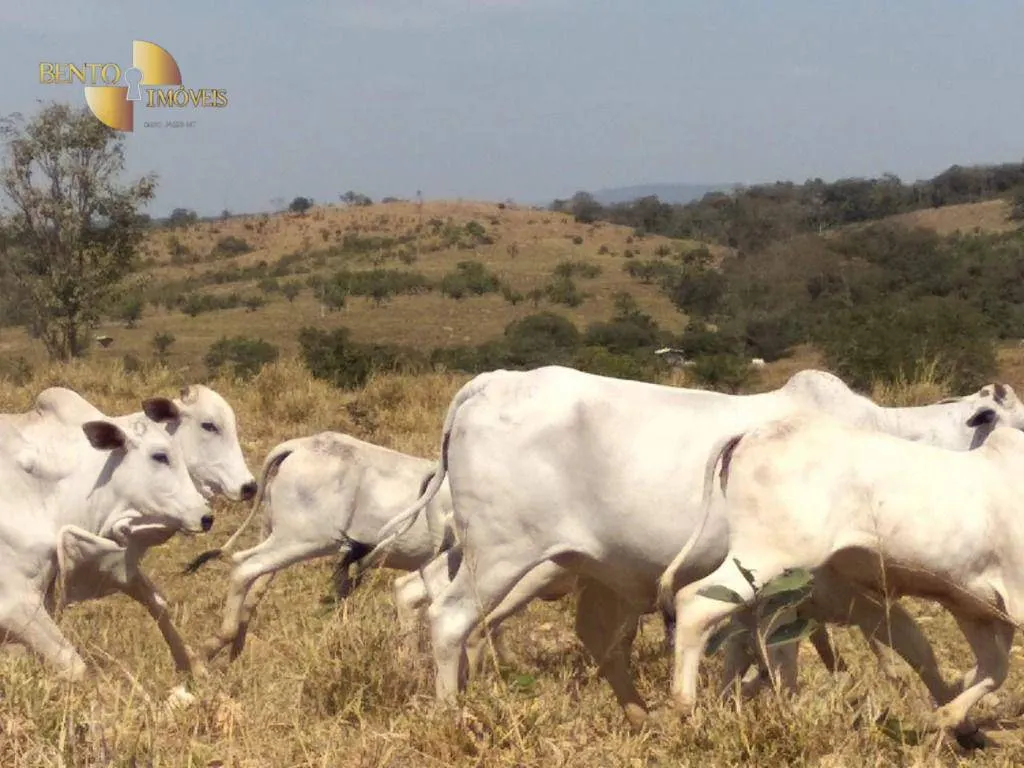 Fazenda à venda de 411 ha em Nobres, MT, Brasil