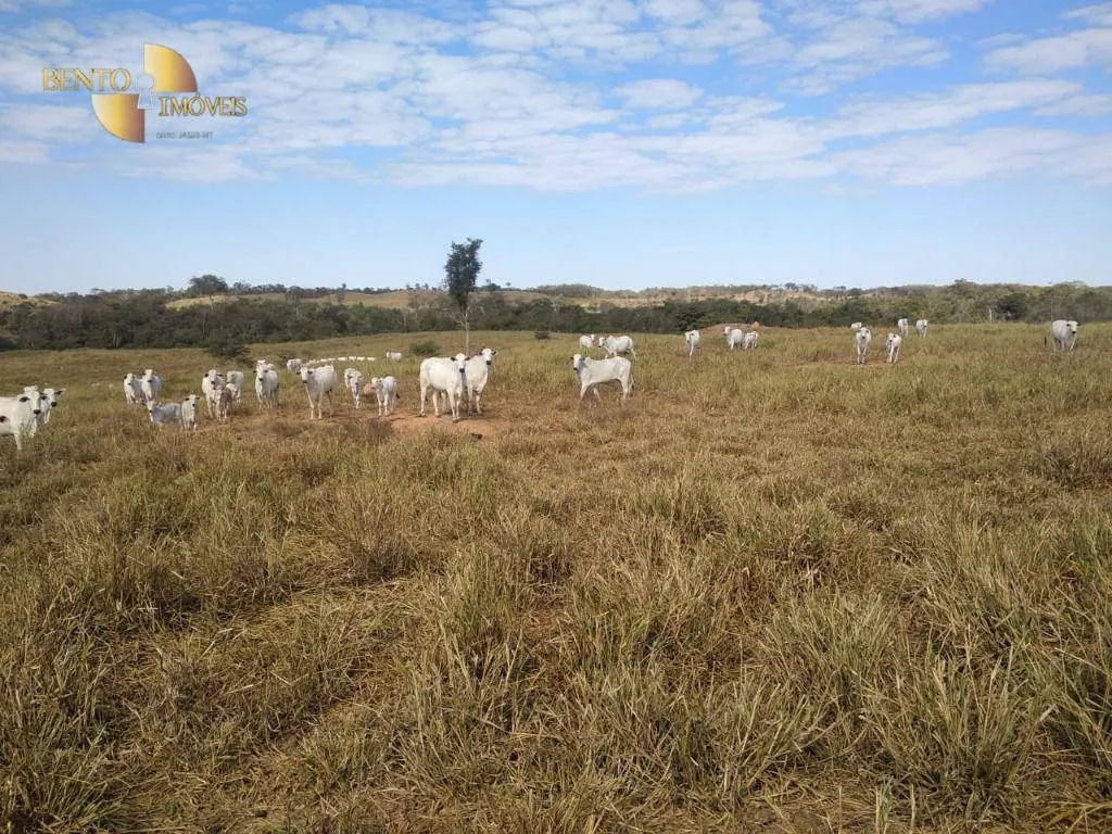 Fazenda à venda de 411 ha em Nobres, MT, Brasil