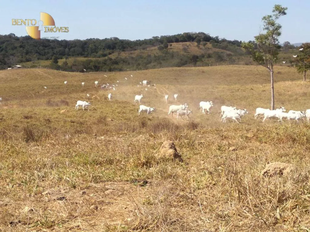 Fazenda à venda de 411 ha em Nobres, MT, Brasil