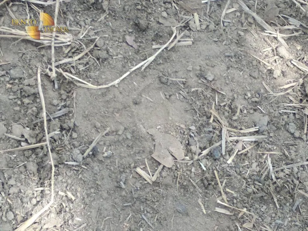 Fazenda à venda de 411 ha em Nobres, MT, Brasil