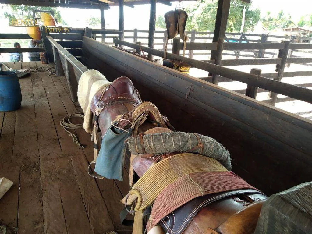 Fazenda à venda de 411 ha em Nobres, MT, Brasil