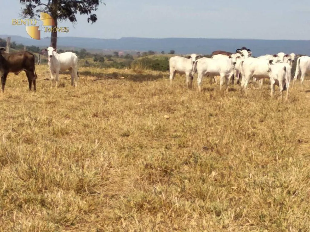 Fazenda à venda de 411 ha em Nobres, MT, Brasil