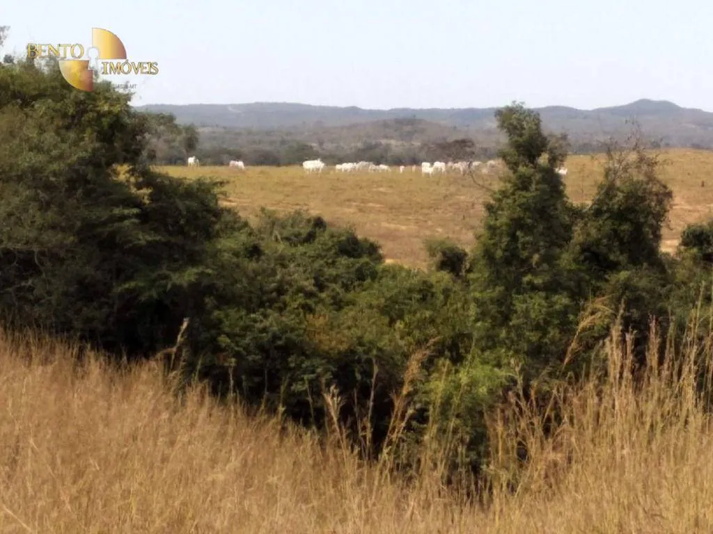 Fazenda à venda de 411 ha em Nobres, MT, Brasil