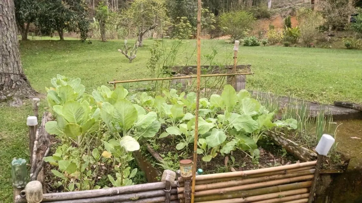 Sítio à venda de 7 ha em Natividade da Serra, SP, Brasil