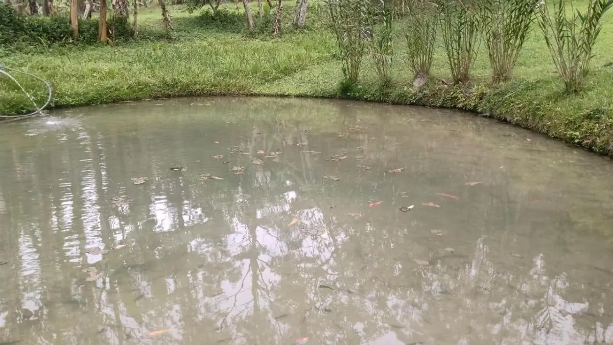 Sítio à venda de 7 ha em Natividade da Serra, SP, Brasil