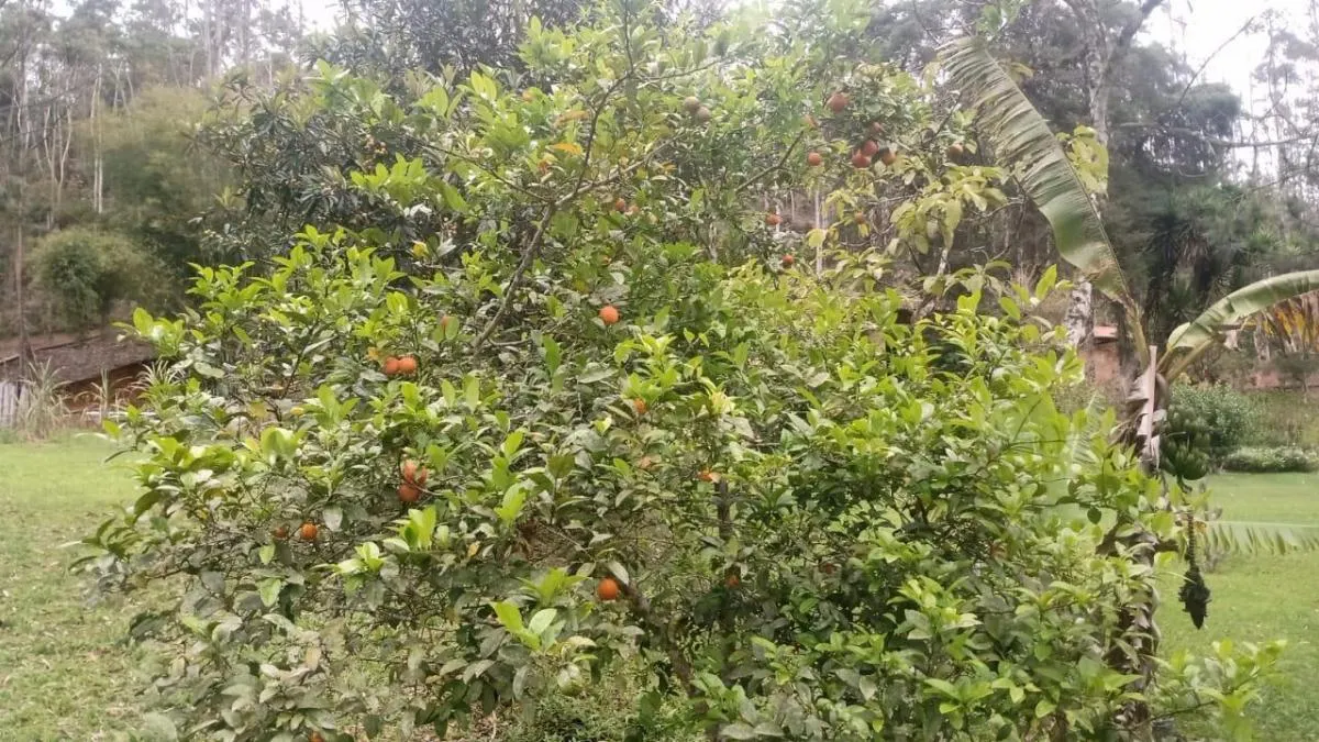 Sítio à venda de 7 ha em Natividade da Serra, SP, Brasil