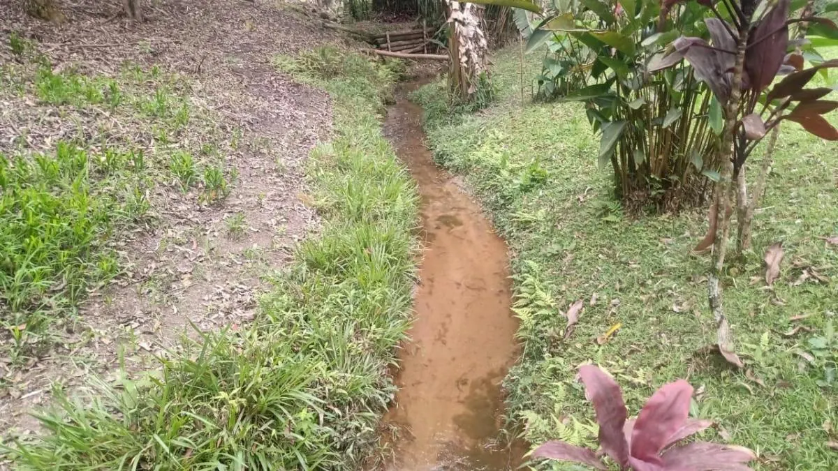 Sítio à venda de 7 ha em Natividade da Serra, SP, Brasil