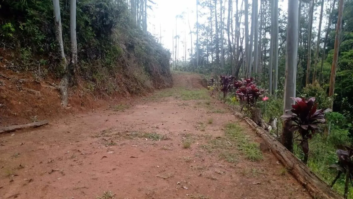 Sítio à venda de 7 ha em Natividade da Serra, SP, Brasil