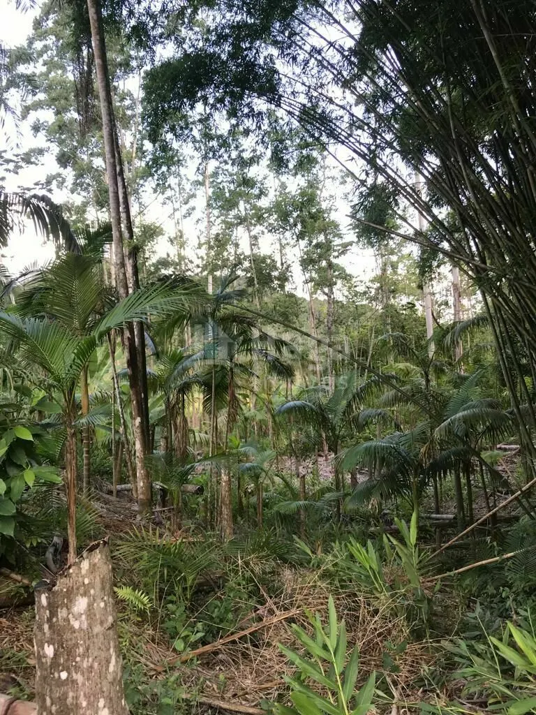 Terreno à venda de 6 ha em Guabiruba, SC, Brasil