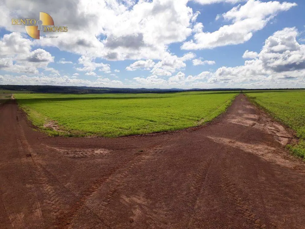 Fazenda à venda de 8.000 ha em Primavera do Leste, MT, Brasil